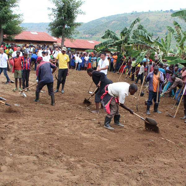 Bonanza workers participating  in community works  UMUGANDA